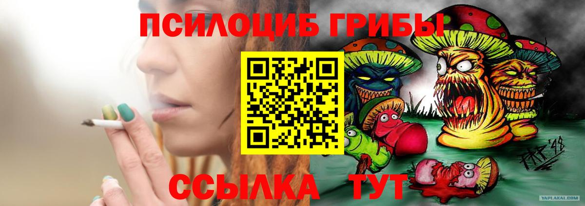 Ессентуки  Псилоцибиновые грибы MAGIC MUSHROOMS  наркошоп  Псилоцибиновые грибы ЛСД  Вход с VPN 