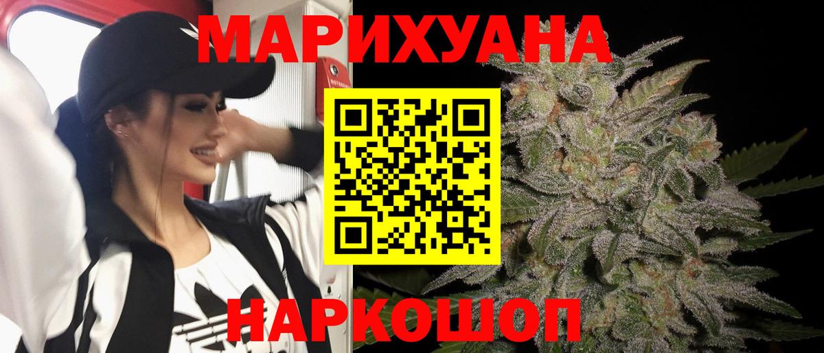 Конопля сатива Ессентуки